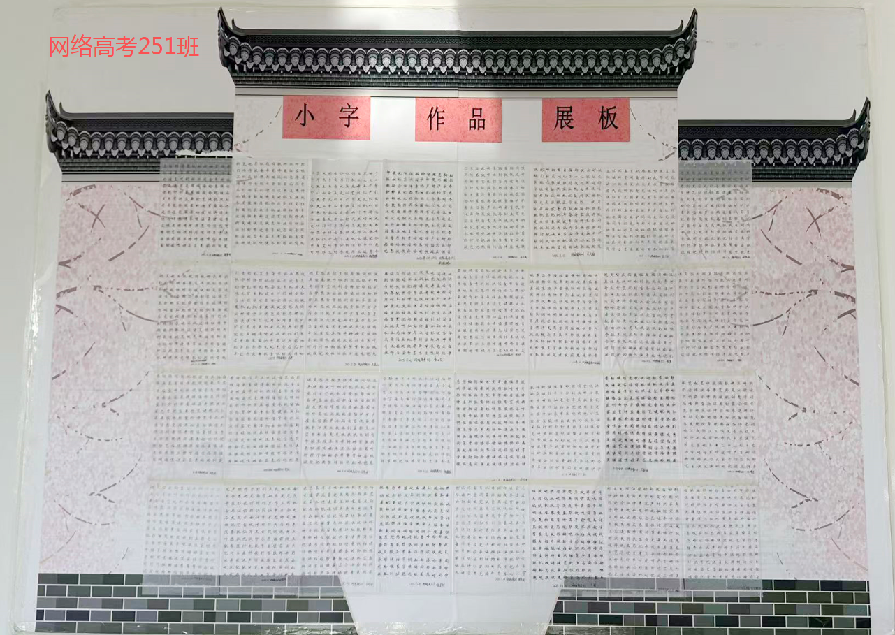 网络高考251 网络高考251